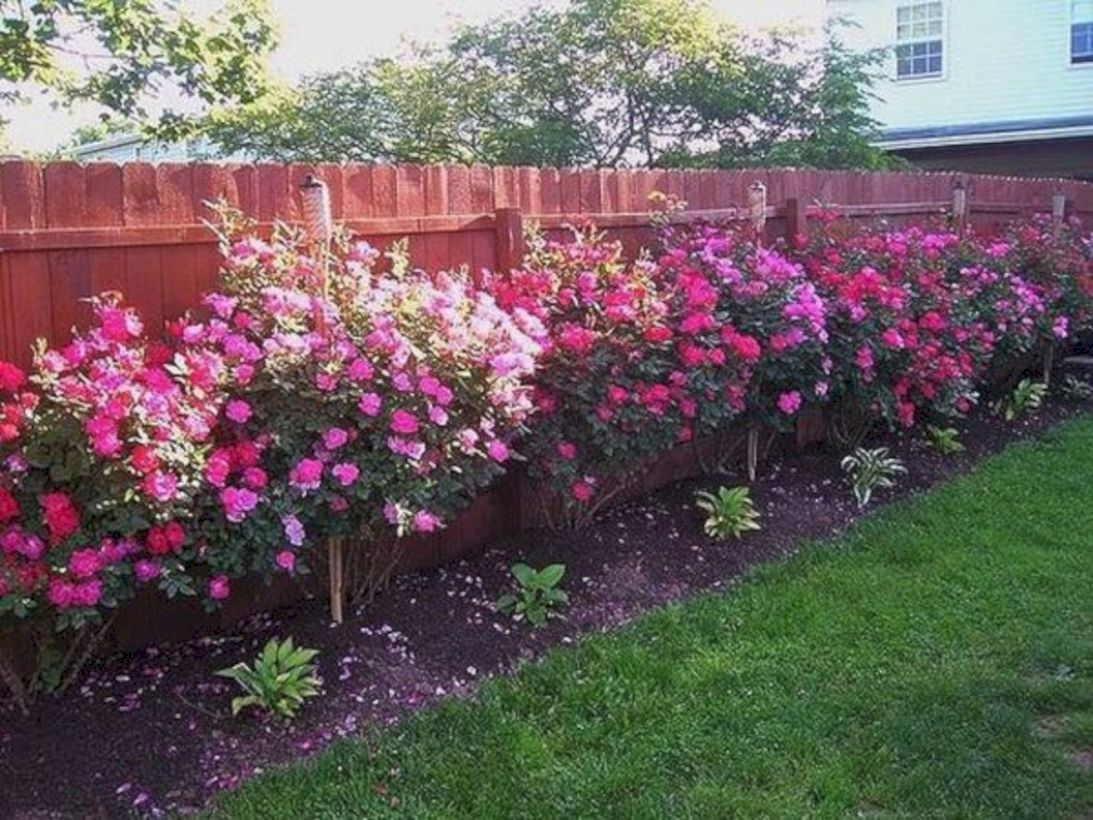 Amazing rose garden ideas in this year 06