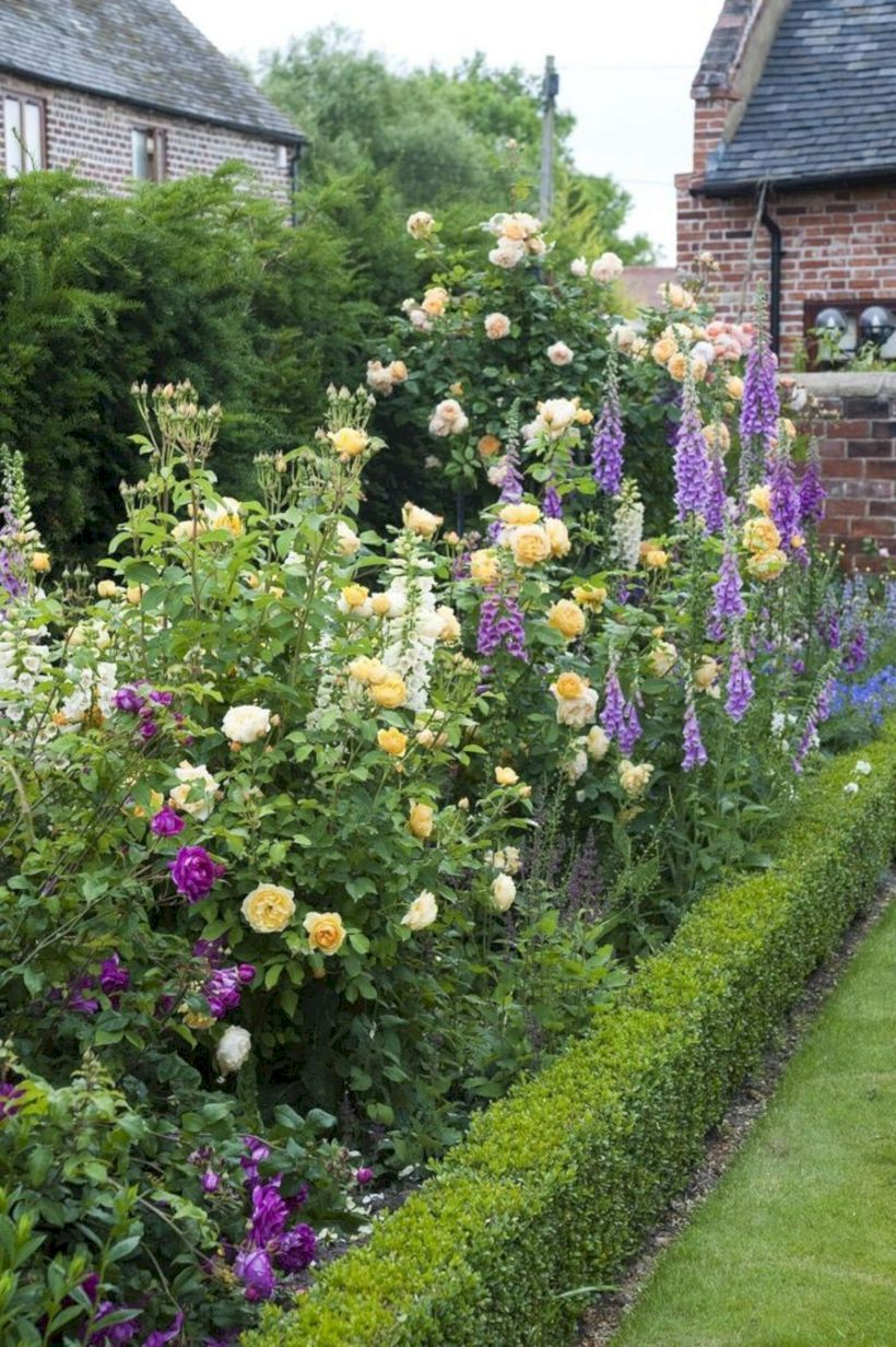 Amazing rose garden ideas in this year 10