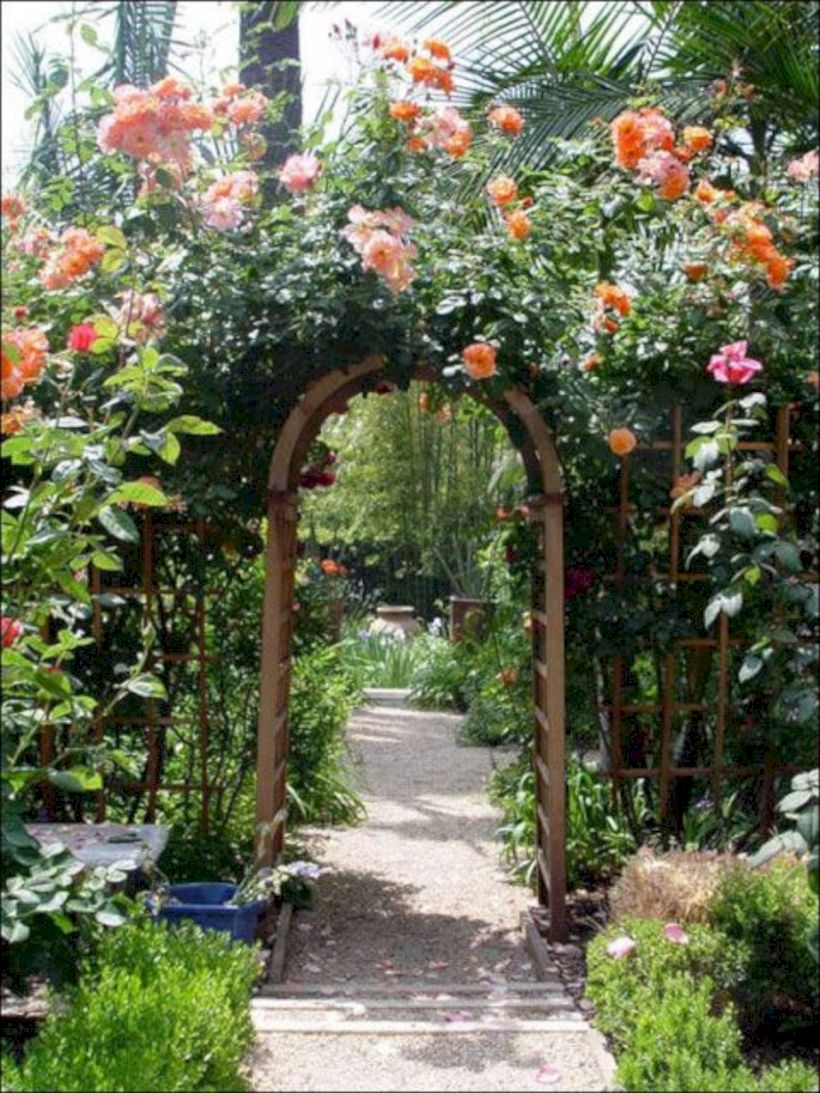 Amazing rose garden ideas in this year 13