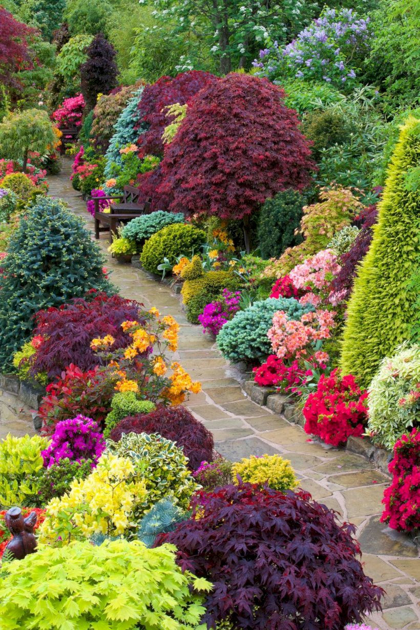 Amazing rose garden ideas in this year 18