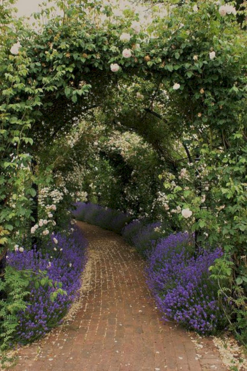 Amazing rose garden ideas in this year 19