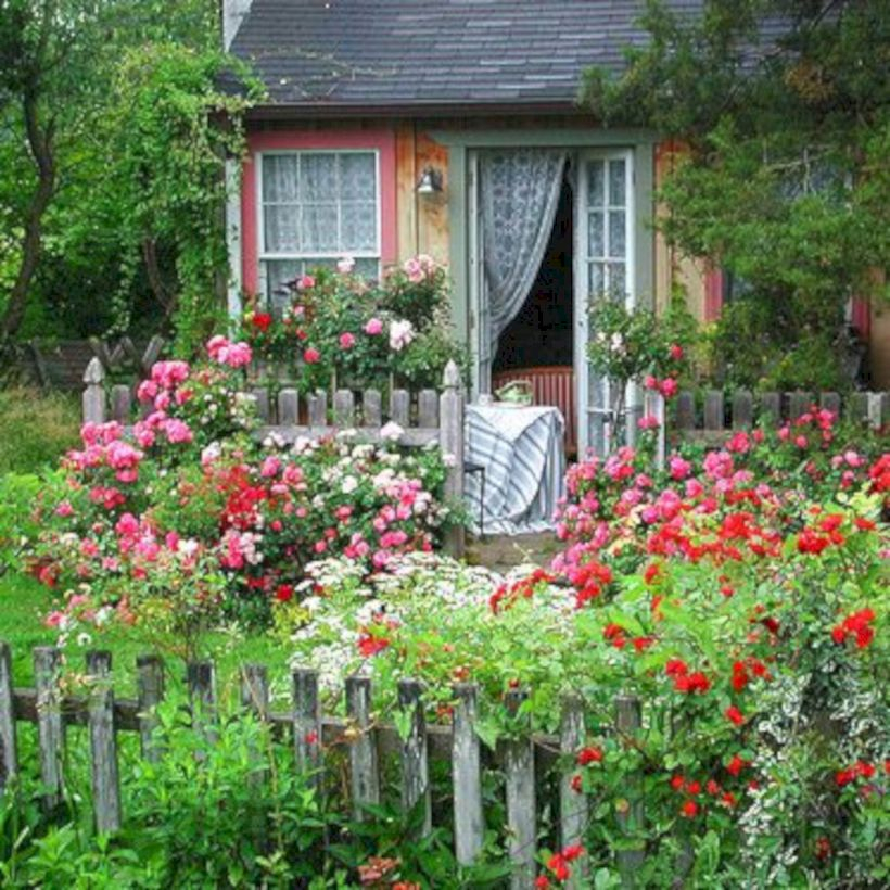 Amazing rose garden ideas in this year 22
