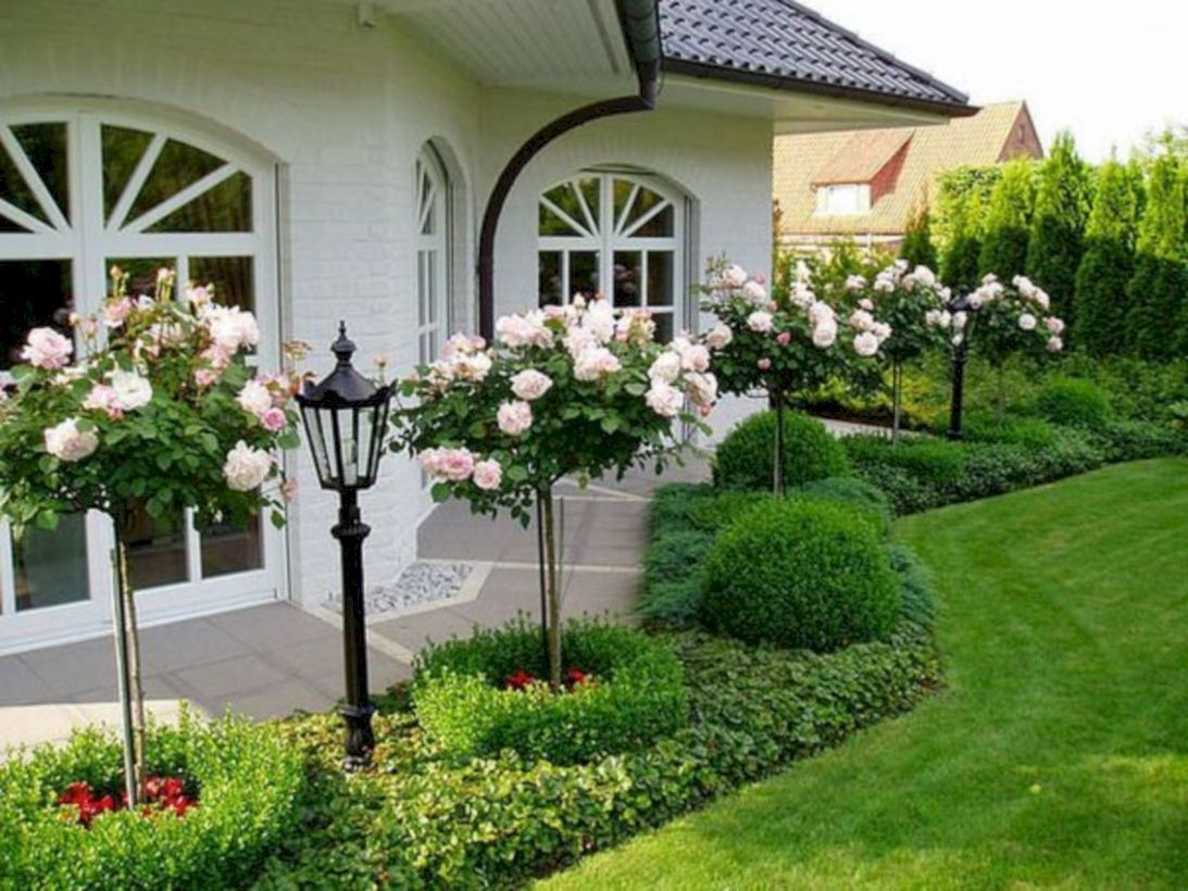 Amazing rose garden ideas in this year 26