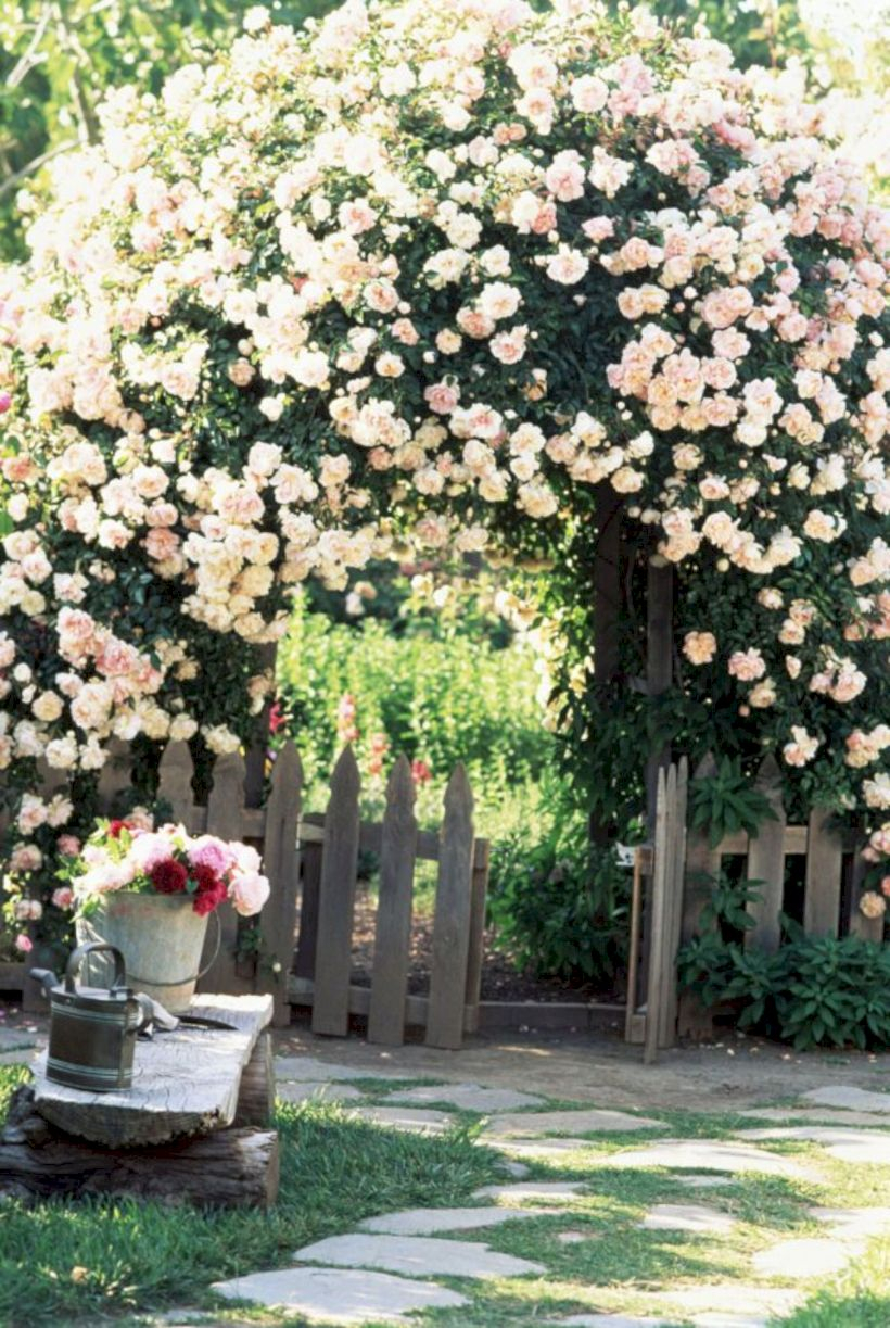 Amazing rose garden ideas in this year 32