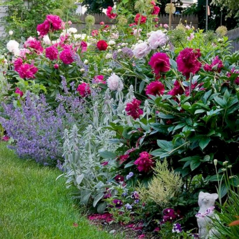 Amazing rose garden ideas in this year 43