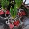 The best garden design ideas with the concept of valentines day 08