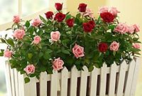 The best garden design ideas with the concept of valentines day 10