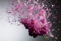 The best garden design ideas with the concept of valentines day 14