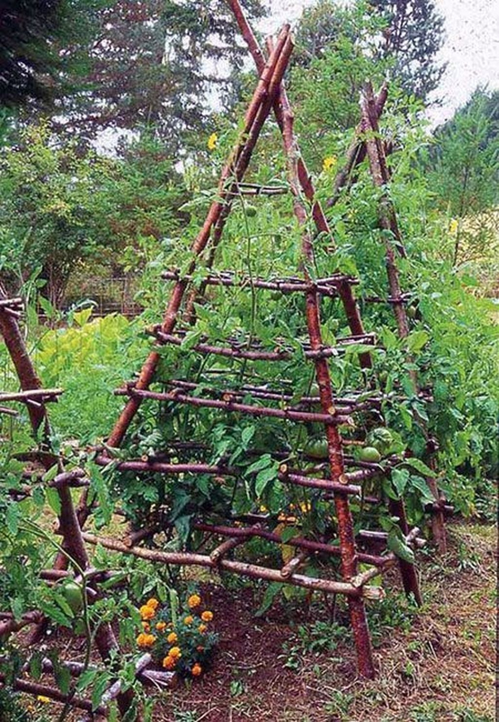 Diy garden design project in your home 04