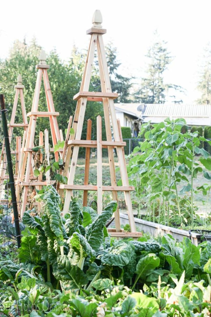 Diy garden design project in your home 35