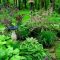 Garden design that is refreshing and comfortable 18