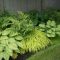 Garden design that is refreshing and comfortable 21