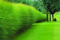 Garden design that is refreshing and comfortable 31