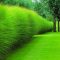 Garden design that is refreshing and comfortable 31