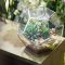 Garden design that is refreshing and comfortable 33