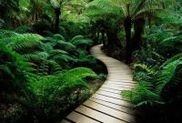 Garden design that is refreshing and comfortable 34