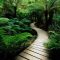 Garden design that is refreshing and comfortable 34
