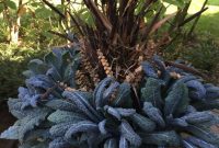 Garden design that is refreshing and comfortable 37