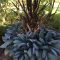 Garden design that is refreshing and comfortable 37