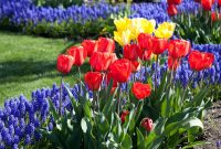 Garden design that is refreshing and comfortable 41