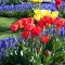 Garden design that is refreshing and comfortable 41