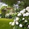 Garden design that is refreshing and comfortable 43
