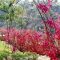 Garden design that is refreshing and comfortable 45