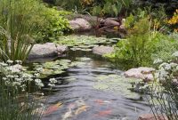 Garden design that is refreshing and comfortable 46