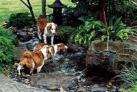 Garden design that is refreshing and comfortable 49