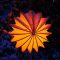 Garden lamp design ideas that make your home garden looked beauty 29