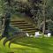 Garden exterior design ideas using grass that make your home more fresh 23