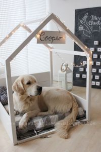 Home design ideas for your pet at home 01