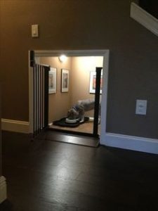 Home design ideas for your pet at home 03