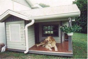 Home design ideas for your pet at home 06
