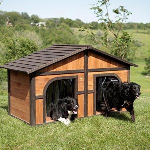 Home design ideas for your pet at home 15