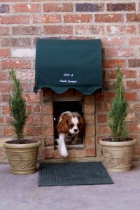 Home design ideas for your pet at home 22