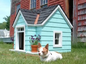 Home design ideas for your pet at home 25