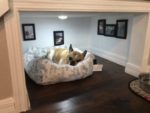 Home design ideas for your pet at home 27