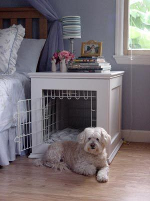 Home design ideas for your pet at home 41