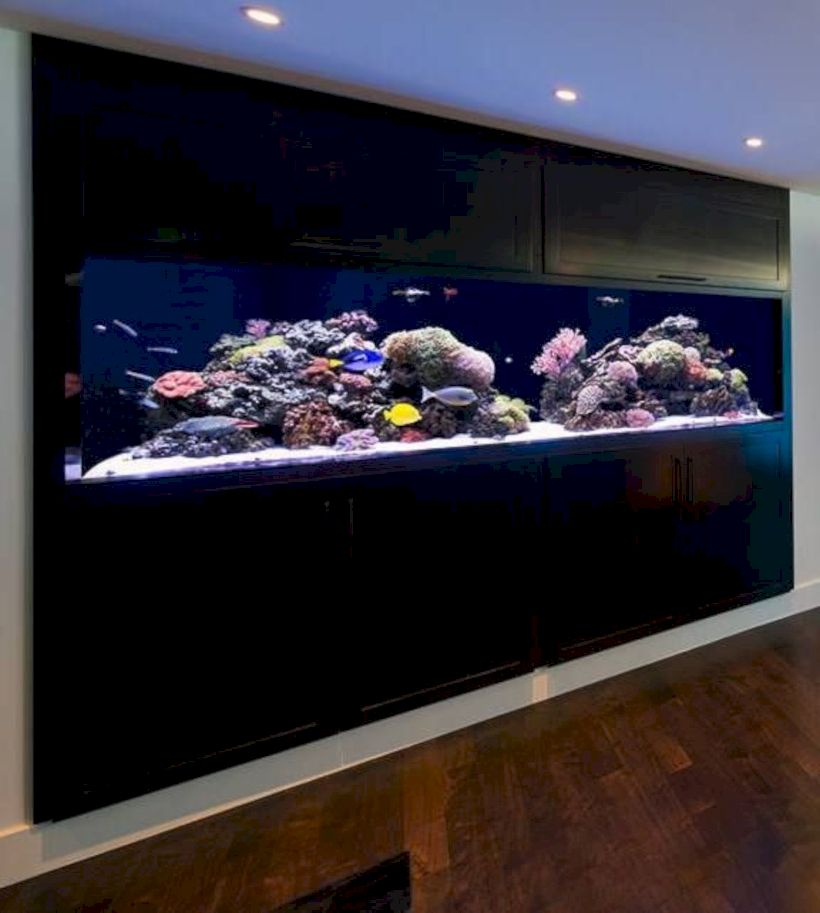 Aquarium design ideas that make your home look beauty 02