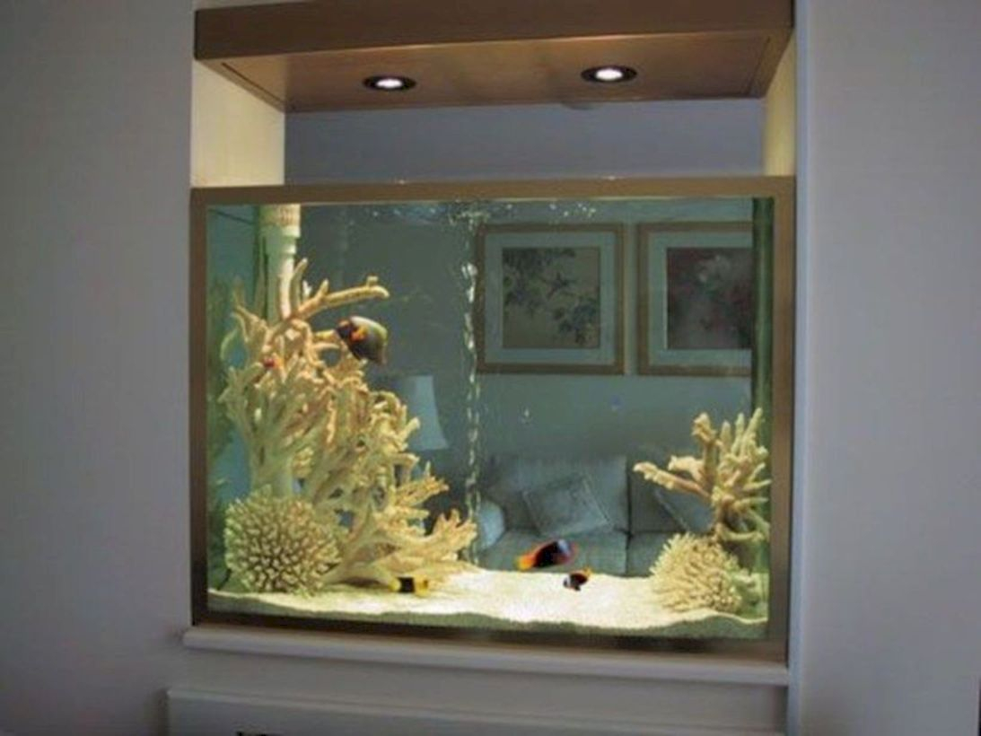 Aquarium design ideas that make your home look beauty 05