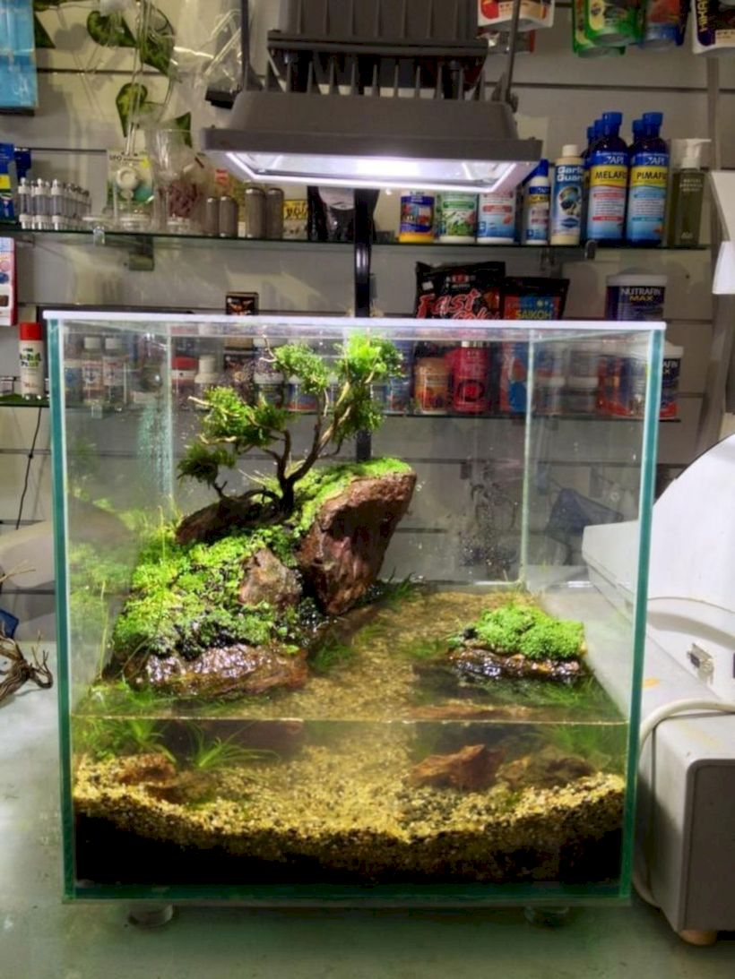 Aquarium design ideas that make your home look beauty 06