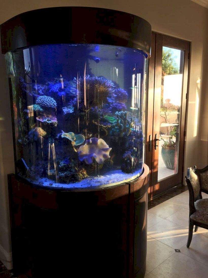 Aquarium design ideas that make your home look beauty 07