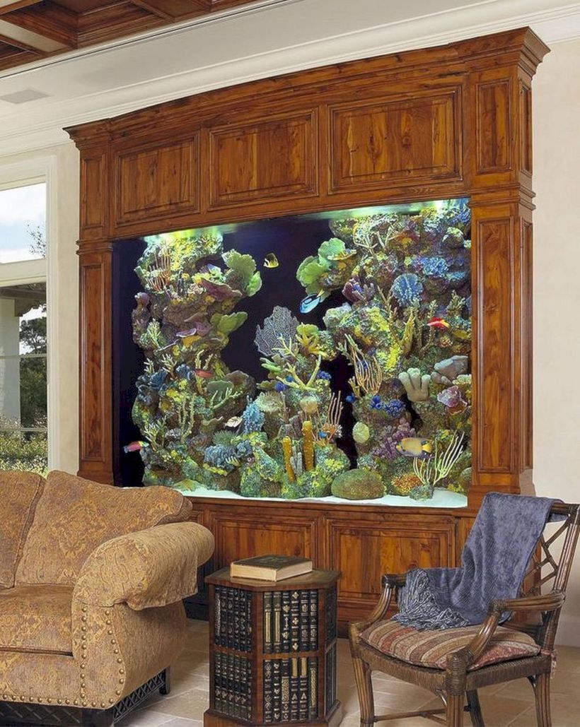 Aquarium design ideas that make your home look beauty 09