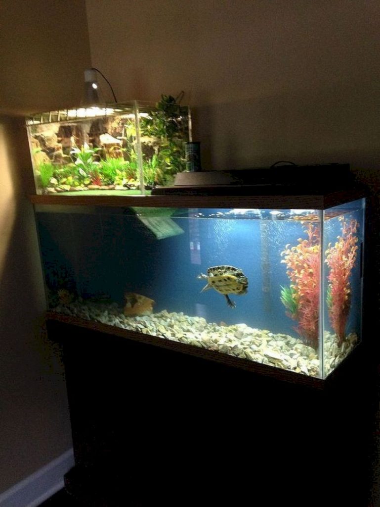 Aquarium design ideas that make your home look beauty 14