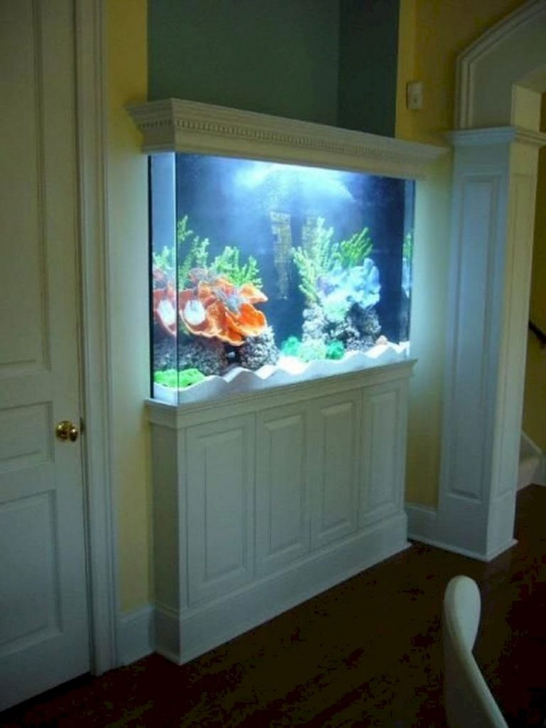 Aquarium design ideas that make your home look beauty 16