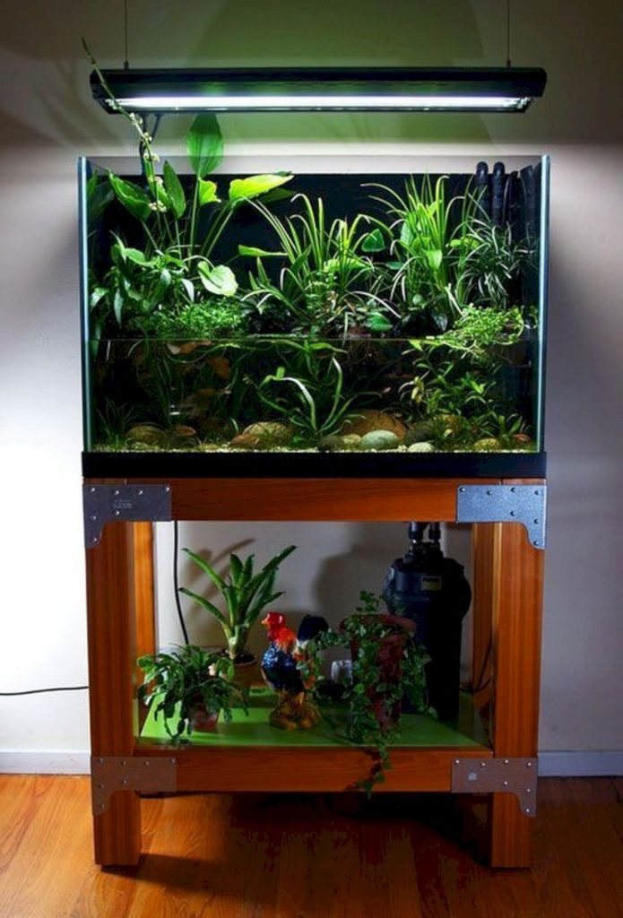 Aquarium design ideas that make your home look beauty 18