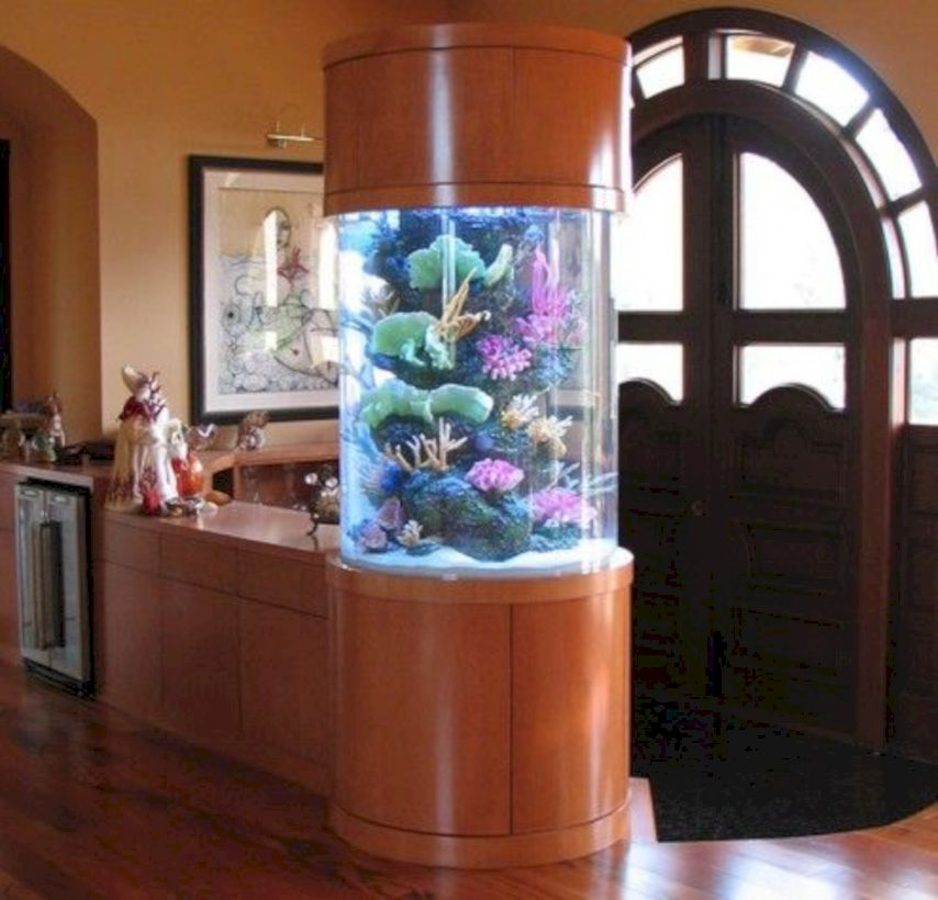 Aquarium design ideas that make your home look beauty 20