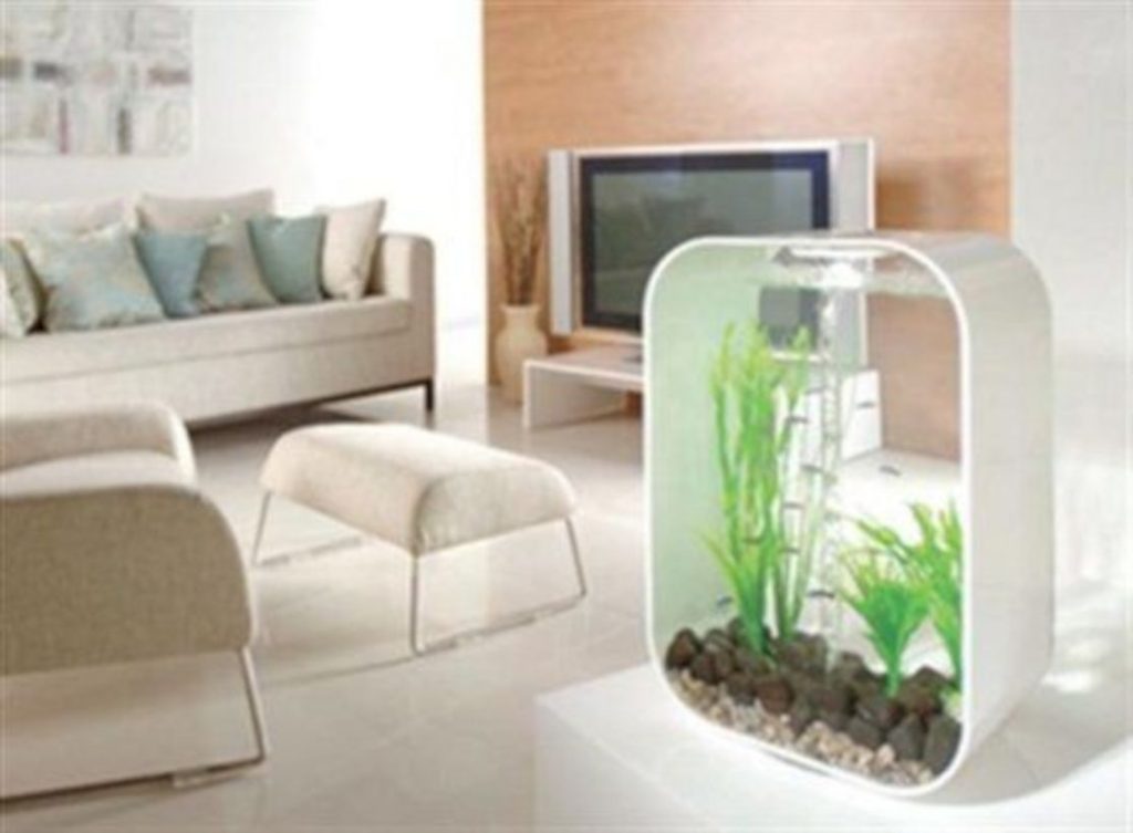 Aquarium design ideas that make your home look beauty 21