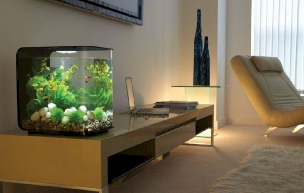 Aquarium design ideas that make your home look beauty 23